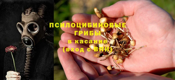 эйфоретик Дмитров