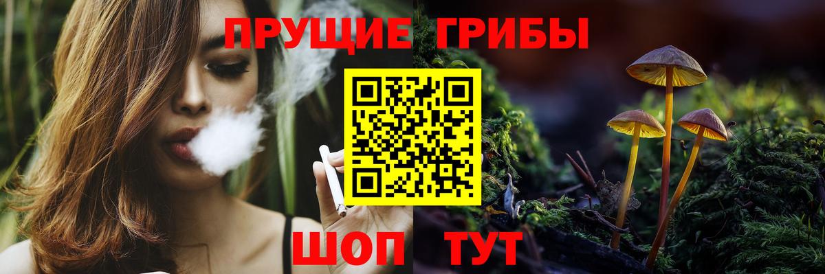 Псилоцибиновые грибы мицелий  Псилоцибиновые грибы прущие грибы  Искитим  Вход с VPN 